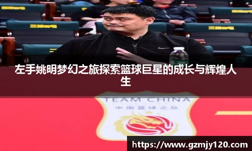 左手姚明梦幻之旅探索篮球巨星的成长与辉煌人生