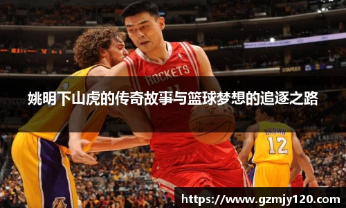 姚明下山虎的传奇故事与篮球梦想的追逐之路