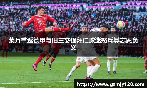 k1体育